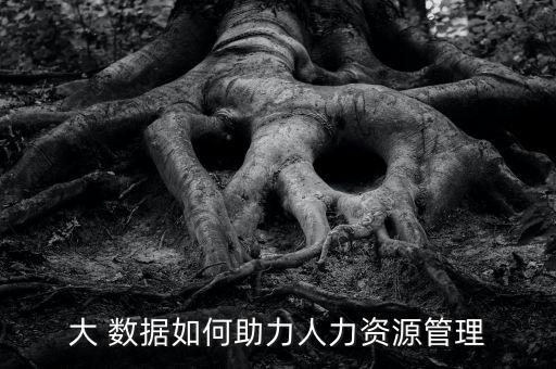 大 數(shù)據(jù)如何助力人力資源管理