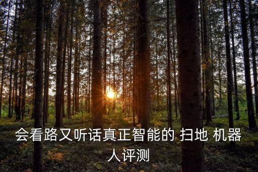 多功能掃地機器人300