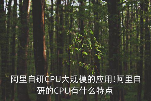 阿里自研CPU大規(guī)模的應(yīng)用!阿里自研的CPU有什么特點(diǎn)