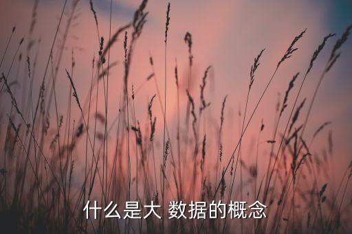 什么是大 數(shù)據(jù)的概念