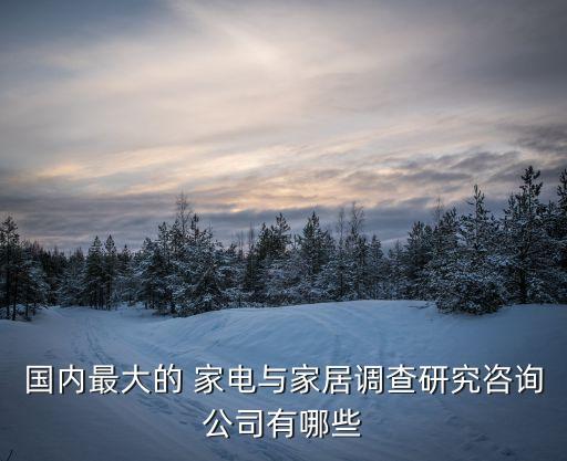 國(guó)內(nèi)最大的 家電與家居調(diào)查研究咨詢公司有哪些
