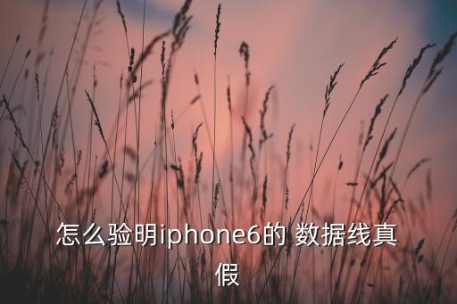怎么驗(yàn)明iphone6的 數(shù)據(jù)線真假