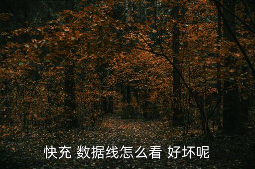 快充 數(shù)據(jù)線怎么看 好壞呢