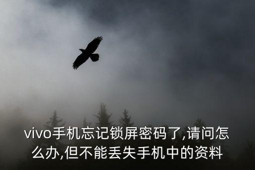 vivo手機忘記鎖屏密碼了,請問怎么辦,但不能丟失手機中的資料
