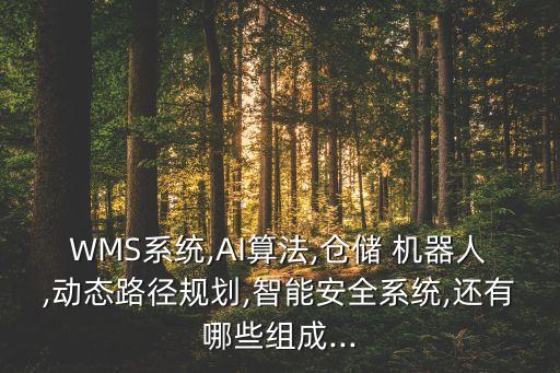 WMS系統(tǒng),AI算法,倉(cāng)儲(chǔ) 機(jī)器人,動(dòng)態(tài)路徑規(guī)劃,智能安全系統(tǒng),還有哪些組成...