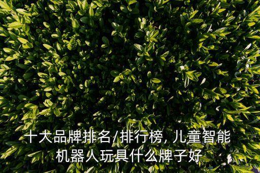 陪兒童玩的機(jī)器人,兒童機(jī)器人玩具有哪些品牌