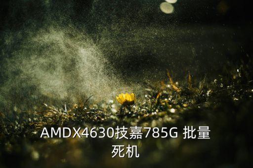 AMDX4630技嘉785G 批量死機(jī)