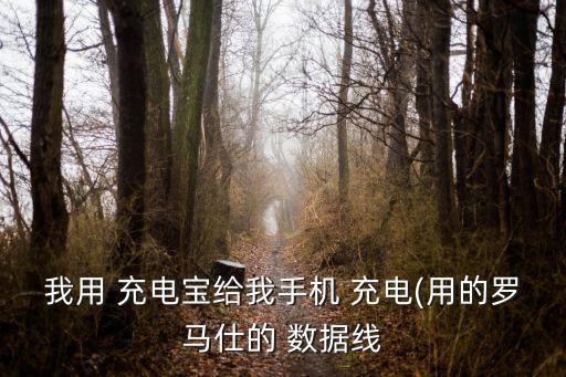 我用 充電寶給我手機(jī) 充電(用的羅馬仕的 數(shù)據(jù)線
