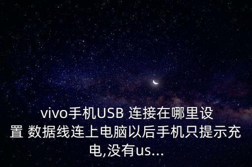 vivo的數(shù)據(jù)連接在哪