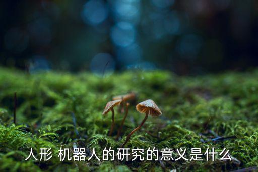 人形 機器人的研究的意義是什么