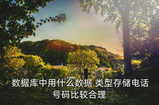  數(shù)據(jù)庫中用什么數(shù)據(jù) 類型存儲(chǔ)電話號(hào)碼比較合理