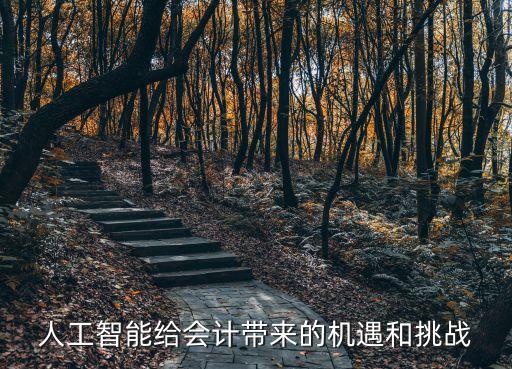 普華永道機(jī)器人方案