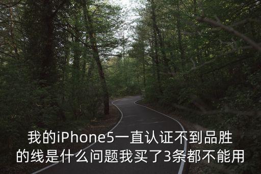 蘋果5數(shù)據(jù)線不匹配,蘋果數(shù)據(jù)線不匹配了是什么原因