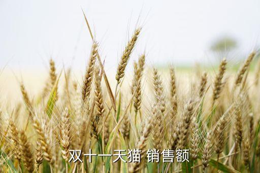 雙十一天貓 銷售額