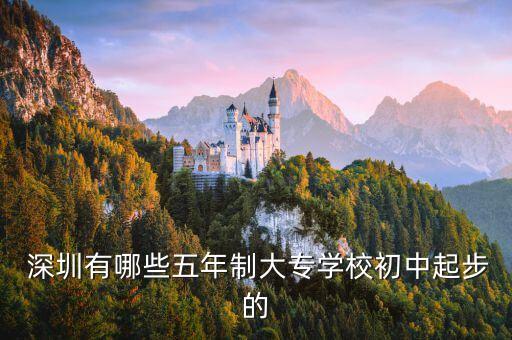 深圳電視臺 機(jī)器人與 龍崗