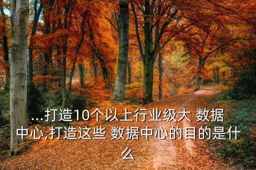 ...打造10個(gè)以上行業(yè)級(jí)大 數(shù)據(jù)中心,打造這些 數(shù)據(jù)中心的目的是什么