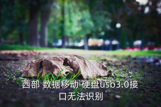 移動硬盤數(shù)據(jù)口壞了