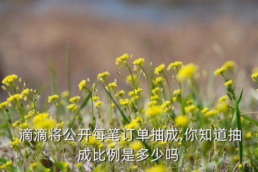  滴滴將公開(kāi)每筆訂單抽成,你知道抽成比例是多少嗎