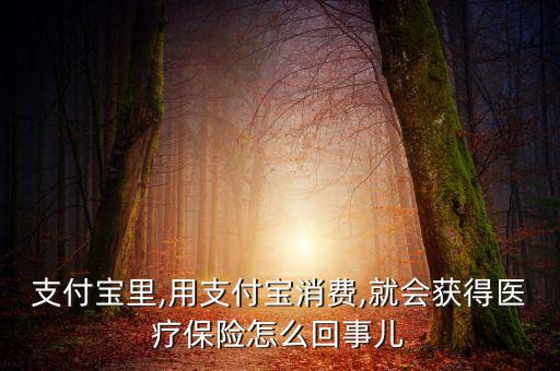 支付寶里,用支付寶消費(fèi),就會(huì)獲得醫(yī)療保險(xiǎn)怎么回事兒
