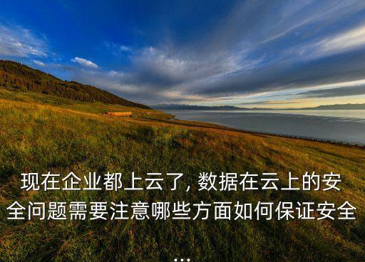 現(xiàn)在企業(yè)都上云了, 數(shù)據(jù)在云上的安全問題需要注意哪些方面如何保證安全...