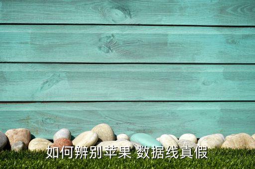 如何辨別蘋果 數(shù)據(jù)線真假