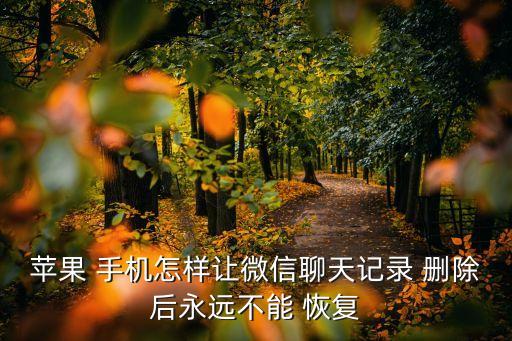 蘋果 手機怎樣讓微信聊天記錄 刪除后永遠不能 恢復