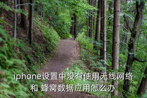 iphone設(shè)置中沒(méi)有使用無(wú)線網(wǎng)絡(luò)和 蜂窩數(shù)據(jù)應(yīng)用怎么辦