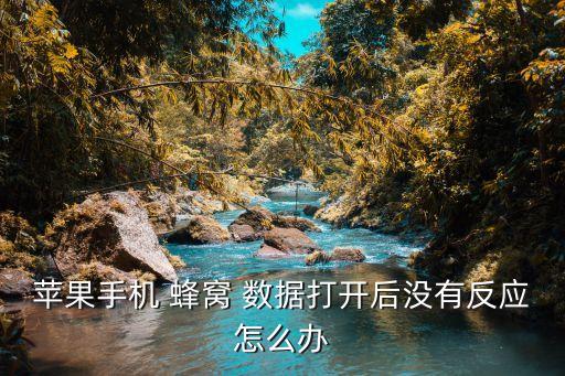 iphone 7.1.2 蜂窩數(shù)據(jù),為什么IPHONE無(wú)法啟用蜂窩數(shù)據(jù)