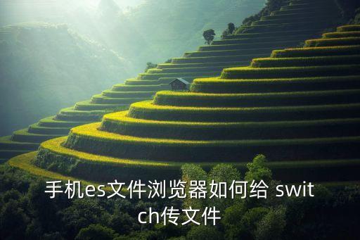 手機es文件瀏覽器如何給 switch傳文件