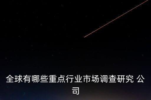 新加坡最大的大數(shù)據(jù)公司