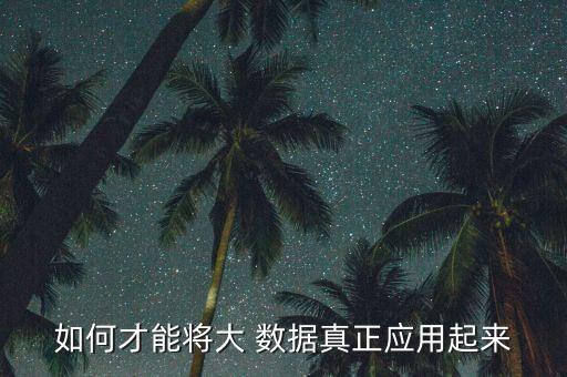 如何才能將大 數(shù)據(jù)真正應(yīng)用起來