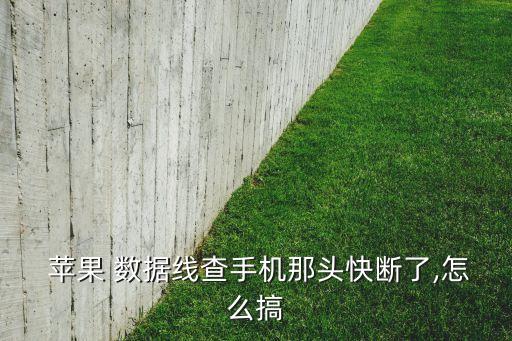  蘋果 數(shù)據(jù)線查手機(jī)那頭快斷了,怎么搞