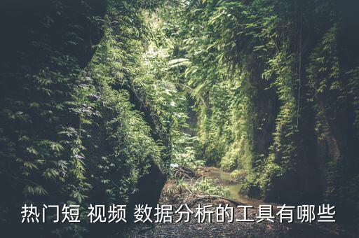 熱門短 視頻 數(shù)據(jù)分析的工具有哪些