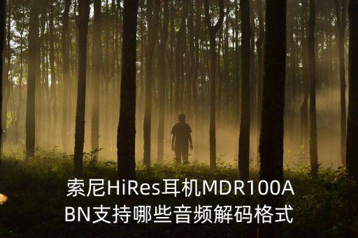  索尼HiRes耳機MDR100ABN支持哪些音頻解碼格式