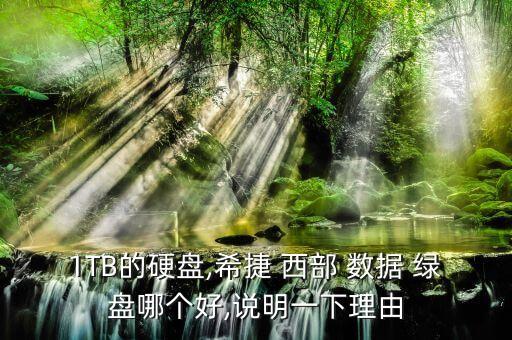 1TB的硬盤,希捷 西部 數(shù)據(jù) 綠盤哪個好,說明一下理由