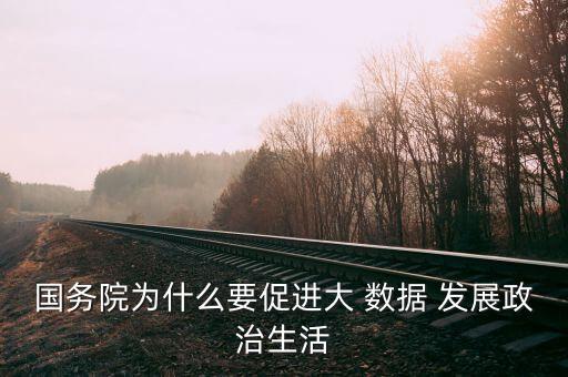 國務(wù)院為什么要促進(jìn)大 數(shù)據(jù) 發(fā)展政治生活