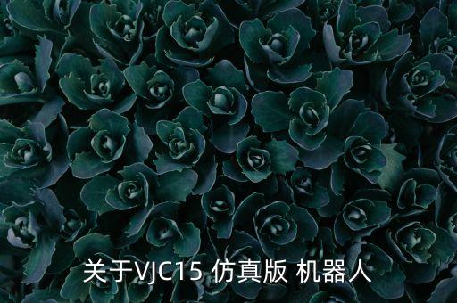 關于VJC15 仿真版 機器人