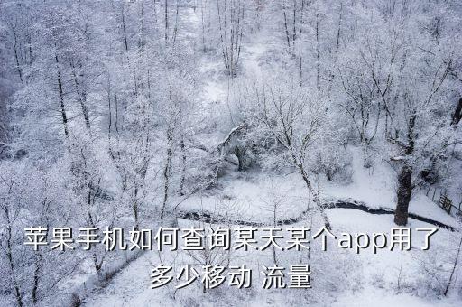 ios7 數(shù)據(jù)流量