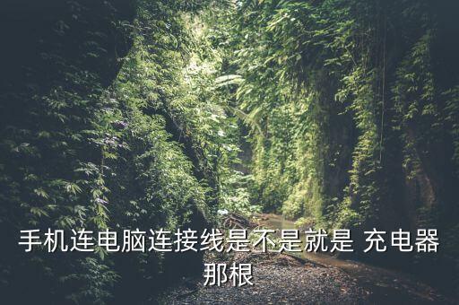 數(shù)據(jù)線哪根線是充電線