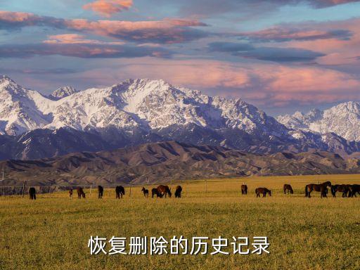 恢復(fù)刪除的歷史記錄