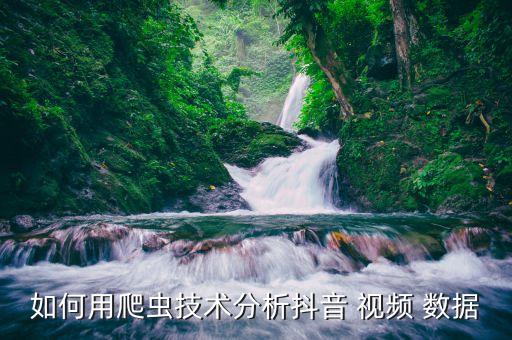 短視頻類型數(shù)據(jù),最受歡迎的短視頻類型數(shù)據(jù)