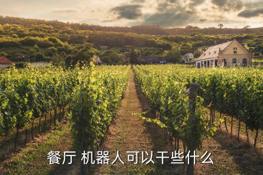 餐廳 機器人可以干些什么