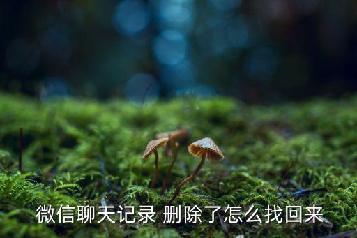 微信內(nèi)容刪除如何恢復(fù)數(shù)據(jù),微信收藏內(nèi)容如何刪除
