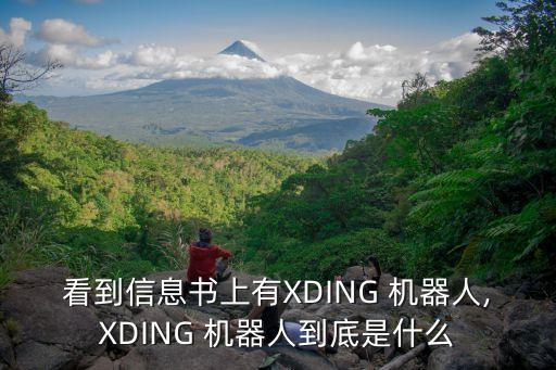 看到信息書上有XDING 機器人,XDING 機器人到底是什么