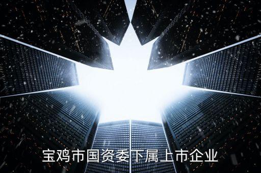 寶雞市國(guó)資委下屬上市企業(yè)