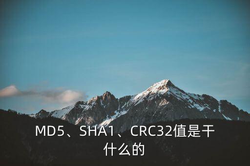 數(shù)據(jù)指紋