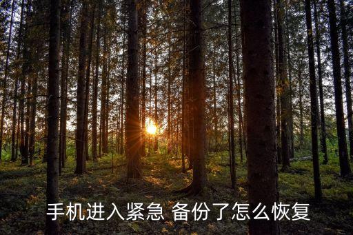 手機(jī)備份數(shù)據(jù)如何還原,蘋果手機(jī)怎么還原備份數(shù)據(jù)