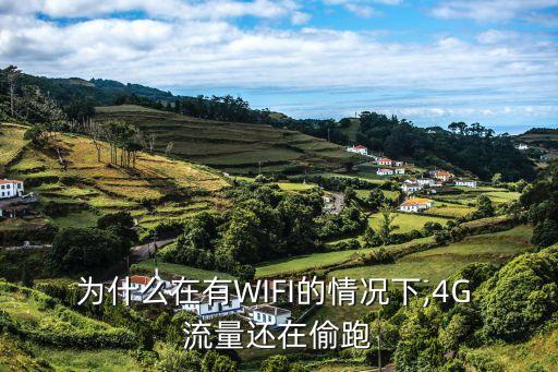 為什么在有WIFI的情況下,4G 流量還在偷跑