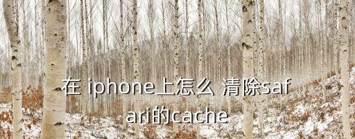 在 iphone上怎么 清除safari的cache