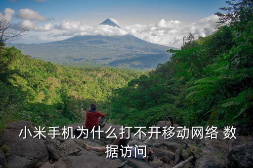 小米怎么用不了數(shù)據(jù),小米手機(jī)怎么傳數(shù)據(jù)